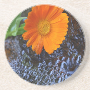 Dessous De Verre En Grès Photo de Fleur Marigold