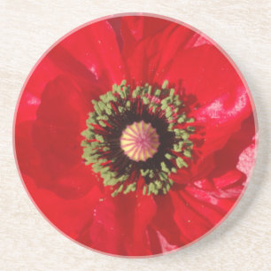 Dessous De Verre En Grès Photo de la fleur de Pavot rouge de Californie