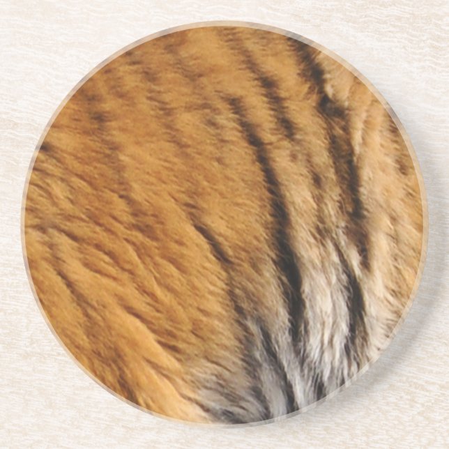 Dessous De Verre En Grès Photo Tiger Stripes Big Cat Wildlife (Devant)