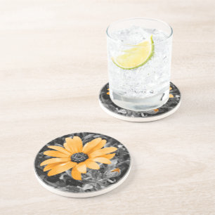 Dessous De Verre En Grès Photographie de marguerite africaine du printemps