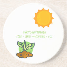 Photosynthèse