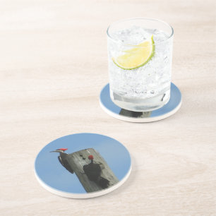 Dessous De Verre En Grès Pic sur un pôle