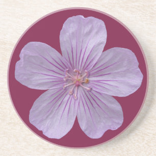 Dessous De Verre En Grès Pineywoods Geranium #1