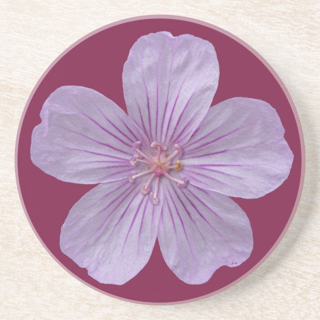 Dessous De Verre En Grès Pineywoods Geranium #1 (Devant)
