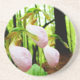 Dessous De Verre En Grès Pink Lady Slipper sauvage orchidée