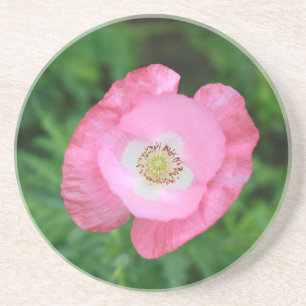 Dessous De Verre En Grès Pink poppy