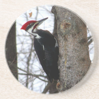 Dessous De Verre En Grès Pivert de Pileated