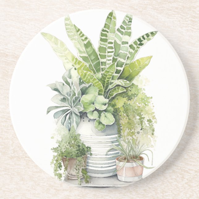 Dessous De Verre En Grès Plantes d'intérieur (Devant)