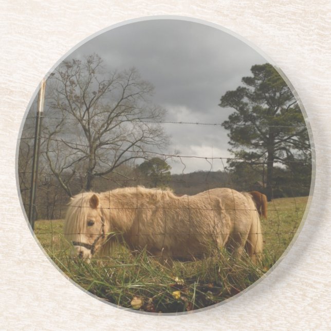 Dessous De Verre En Grès Poney miniature blond / Cheval (Devant)