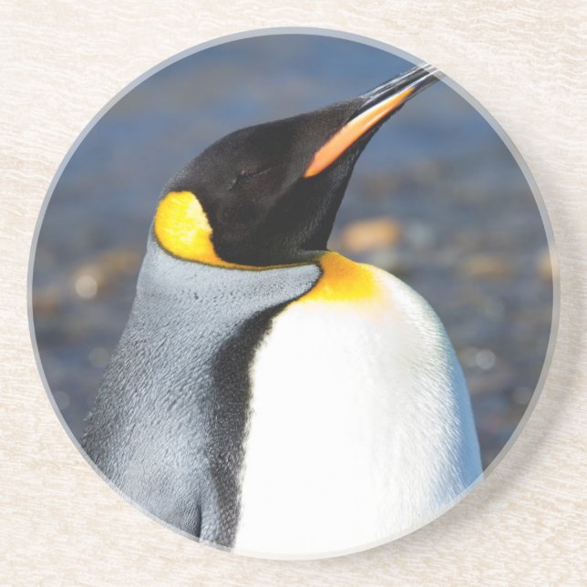 Dessous De Verre En Grès Portrait de pingouin (Devant)