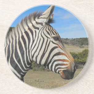 Dessous De Verre En Grès Profil Zebra de Hartmann à Fossil Rim