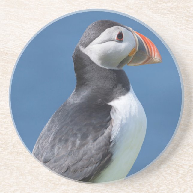 Dessous De Verre En Grès Puffin Atlantique (Fratercula Arctica) Sur Cliff (Devant)