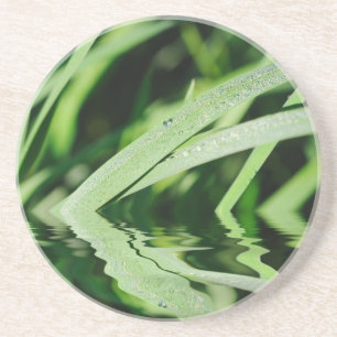 Dessous De Verre En Grès reflets d'herbe