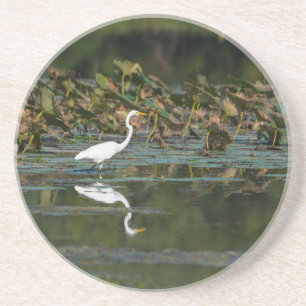 Dessous De Verre En Grès Réflexion de l'aigle blanc