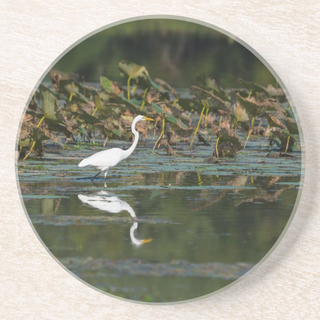 Dessous De Verre En Grès Réflexion de l'aigle blanc (Devant)