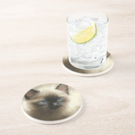 Dessous De Verre En Grès Regard D'Innocence Siamese Kitten Portrait
