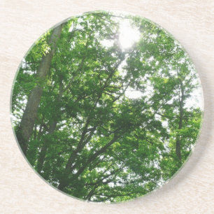 Dessous De Verre En Grès Regard sur les arbres d'été