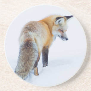 Dessous De Verre En Grès Renard roux en hiver