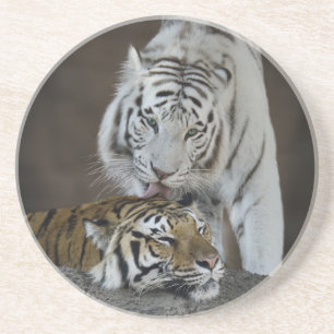Dessous De Verre En Grès Repos blanc et Brown de tigres