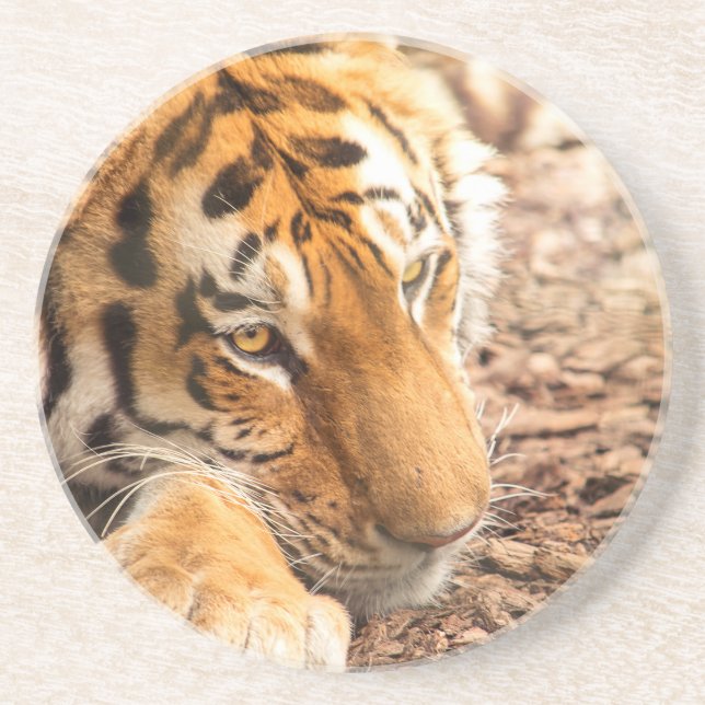 Dessous De Verre En Grès Repose de tigre (Devant)