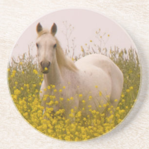 Dessous De Verre En Grès Ressort