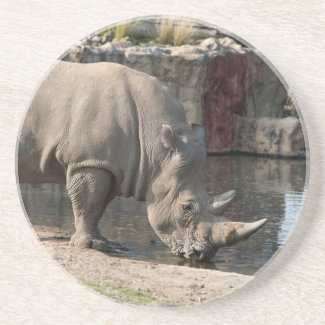 Dessous De Verre En Grès Rhinoceros (Devant)