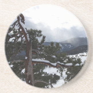DESSOUS DE VERRE EN GRÈS RMNP 1