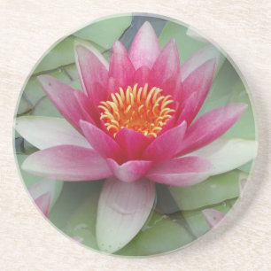 Dessous De Verre En Grès Rose Lotus Water Lily