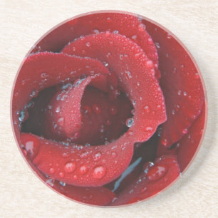 Dessous De Verre En Grès Rose rouge couverte de rosée décorant un lieu de s