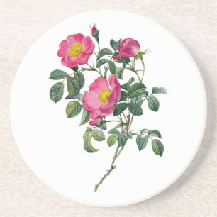 Dessous De Verre En Grès Roses de Pierre Joseph Redoute