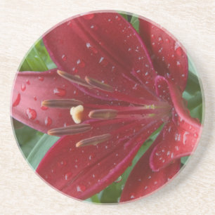 Dessous De Verre En Grès Rouge asiatique Lilly