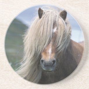 Dessous De Verre En Grès Royaume-Uni, Écosse, îles Shetland, poney Shetland