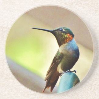 Dessous De Verre En Grès Ruby perché et petit colibri vert