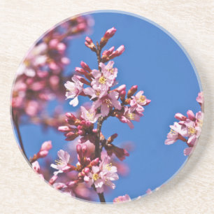 Dessous De Verre En Grès Sakura Cherry Blossoms Touching Blue