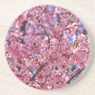 Dessous De Verre En Grès Sakura Pink Cherry Blossom Sky