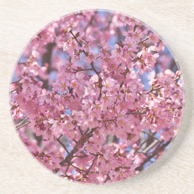 Dessous De Verre En Grès Sakura Pink Cherry Blossom Sky (Devant)