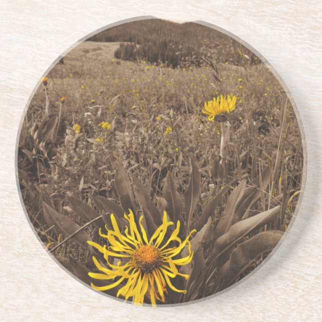 Dessous De Verre En Grès Sepia tone fleurs sauvages jaunes (Devant)