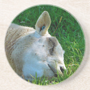 DESSOUS DE VERRE EN GRÈS SHEEP