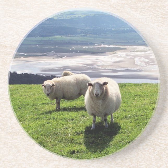DESSOUS DE VERRE EN GRÈS SHEEP DE MONTAGNE BIEN-ÊTRE (Devant)