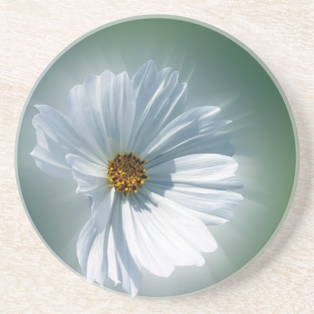 Dessous De Verre En Grès shinwhite (Devant)