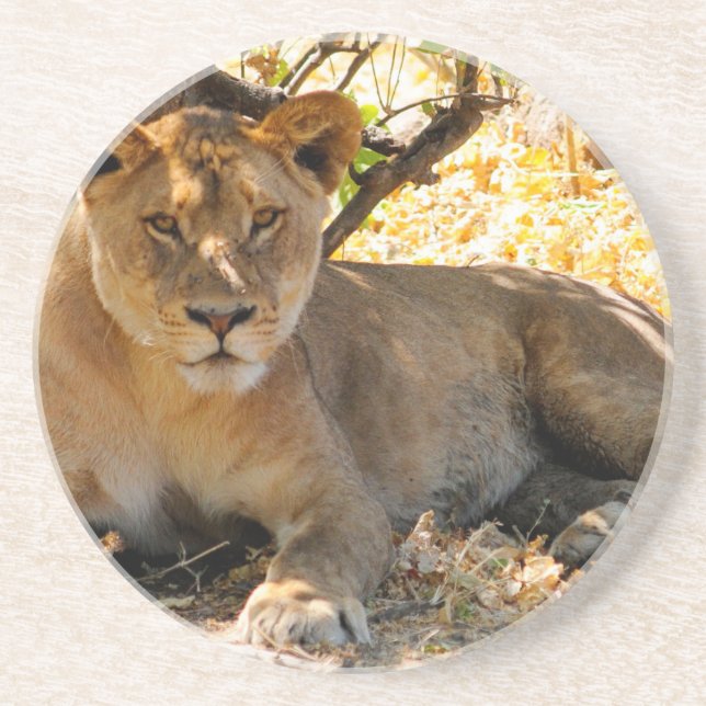 Dessous De Verre En Grès Siesta Time (Devant)