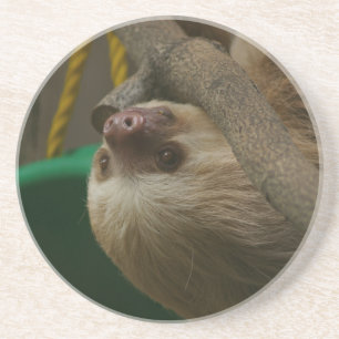 Dessous De Verre En Grès Sloth