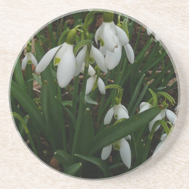 Dessous De Verre En Grès Snowdrops I (Devant)