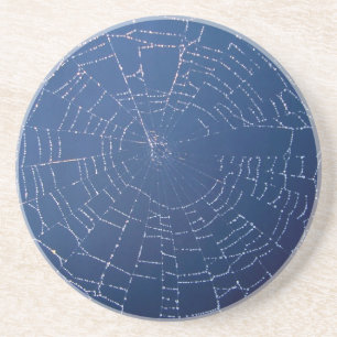 Dessous De Verre En Grès Spider Web