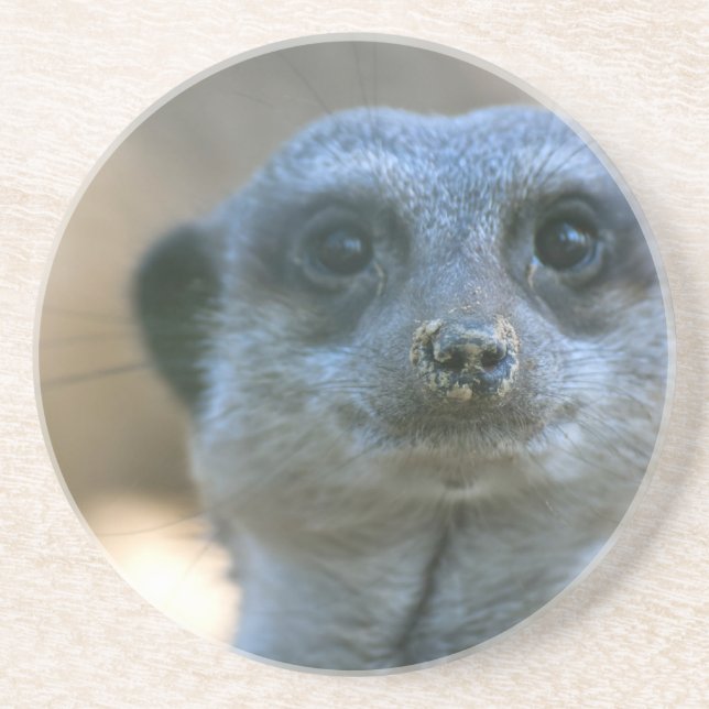 Dessous De Verre En Grès Suricate drôle (Devant)