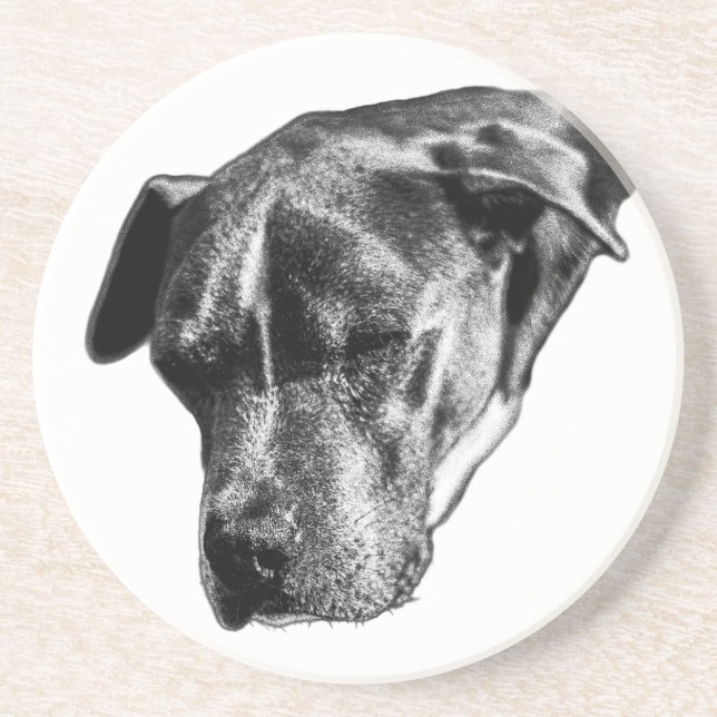 Dessous De Verre En Grès Tabletop Tranquil : mini-mélange Pitbull (Devant)