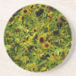 Dessous De Verre En Grès Terrain de tournesol