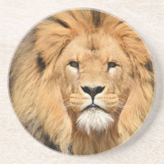 Dessous De Verre En Grès Tête de Lions