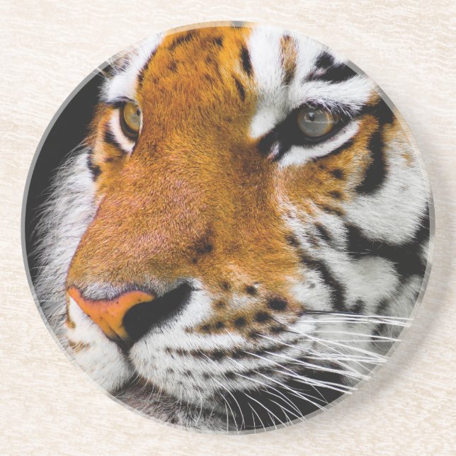 Dessous De Verre En Grès Tigre (Devant)