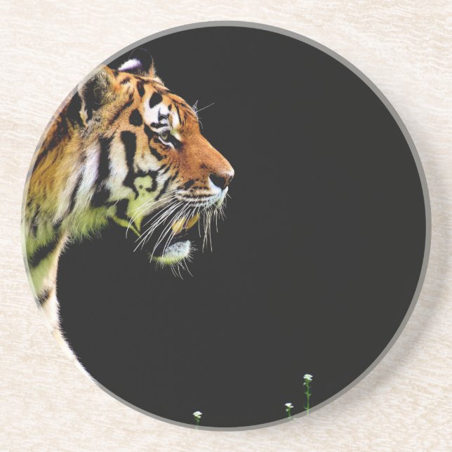 Dessous De Verre En Grès Tigre approchant - Oeuvres d'art d'animaux sauvage (Devant)
